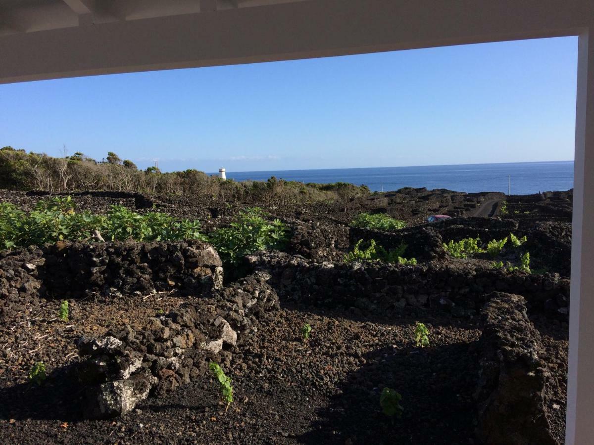 Insula Vinus Apartments مادالينا المظهر الخارجي الصورة